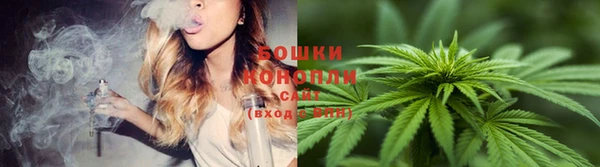 соль курить ск Бородино